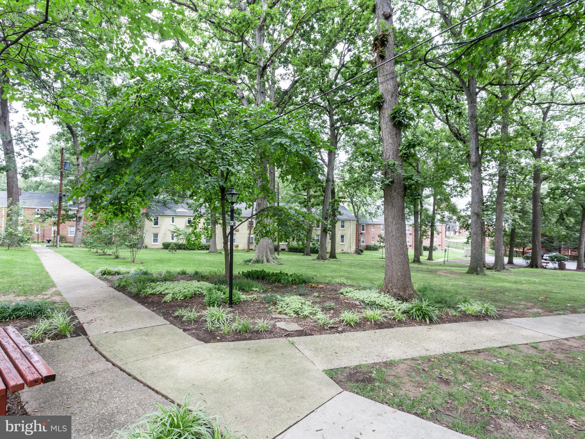 4312 2nd Road North, Unit 2 Arlington, VA 22203 - Photo 15 of 20 Exterior (General)