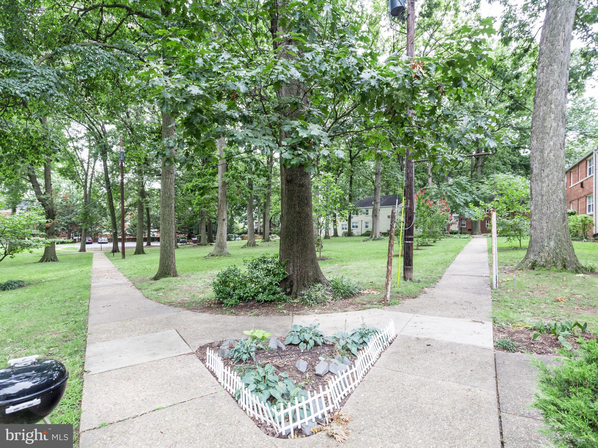 4312 2nd Road North, Unit 2 Arlington, VA 22203 - Photo 17 of 20 Community