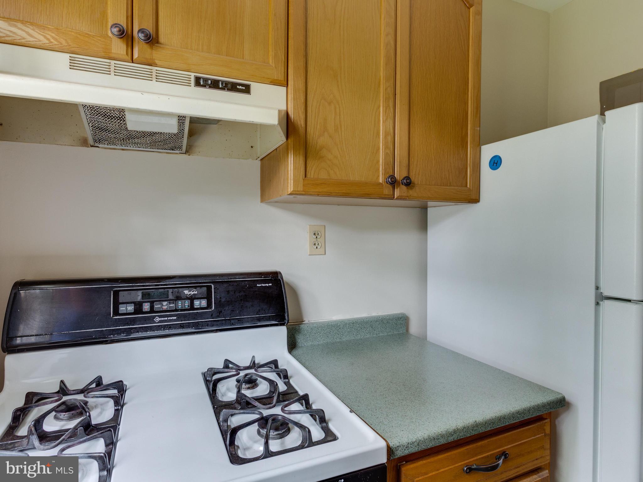 4312 2nd Road North, Unit 2 Arlington, VA 22203 - Photo 8 of 20 Gas Range