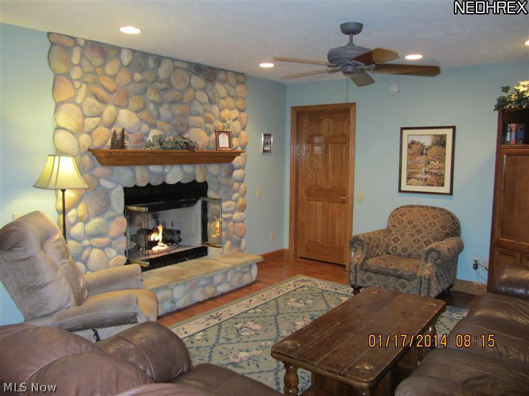 6849 Highway 46 Rome, OH 44085 - Photo 7 of 24 Great room with stone gas F/P