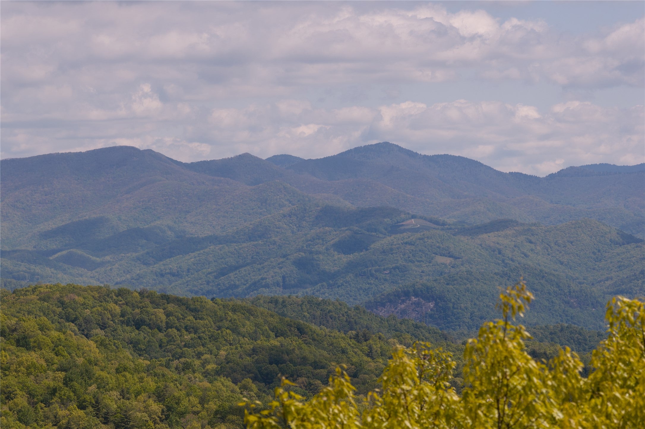 C47 Roaming Road Glenville, NC 28736 - Photo 20 of 41 Gallery Image 20