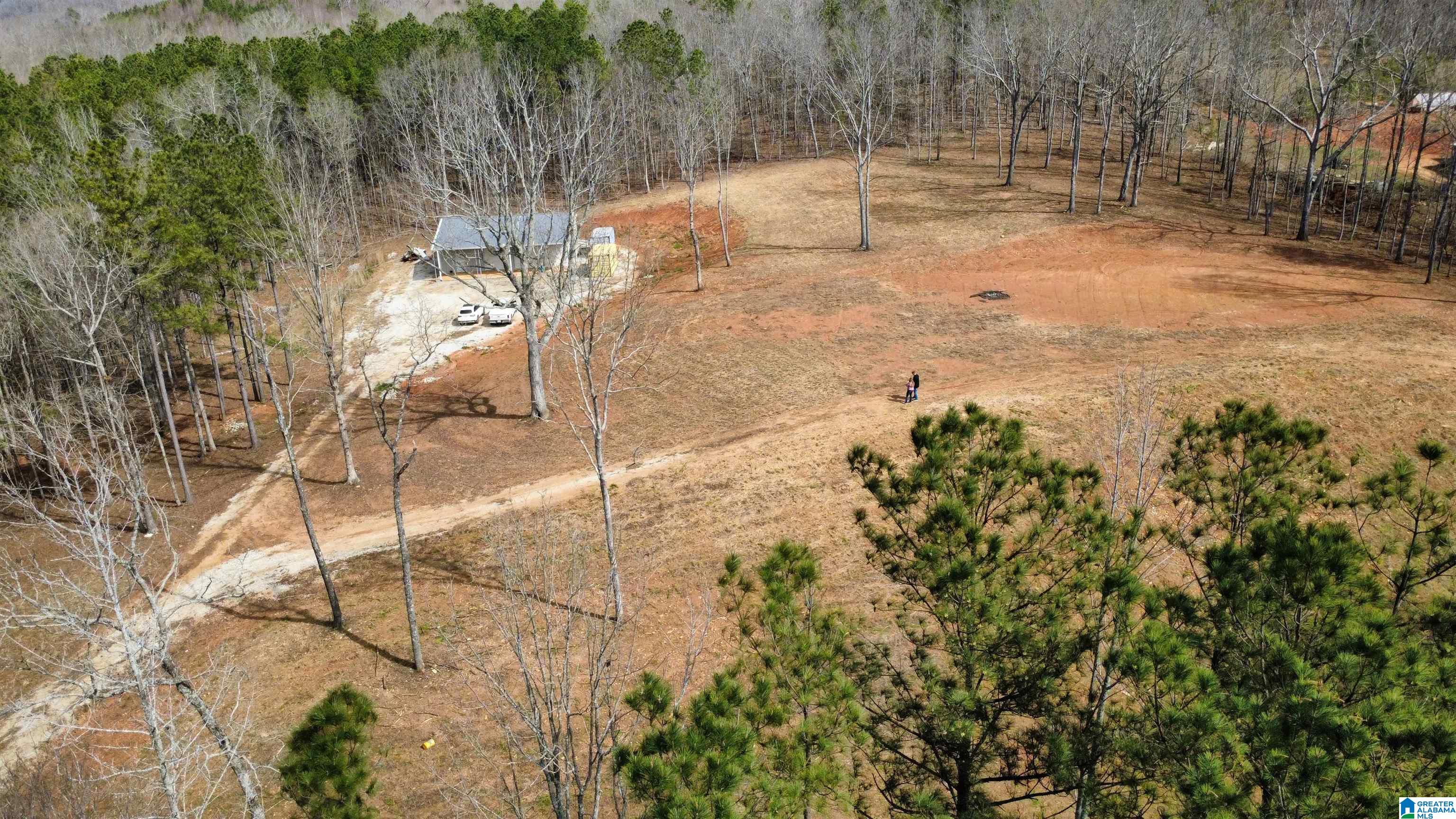 8235 County Road 10 Ranburne, AL 36273 - Photo 15 of 16