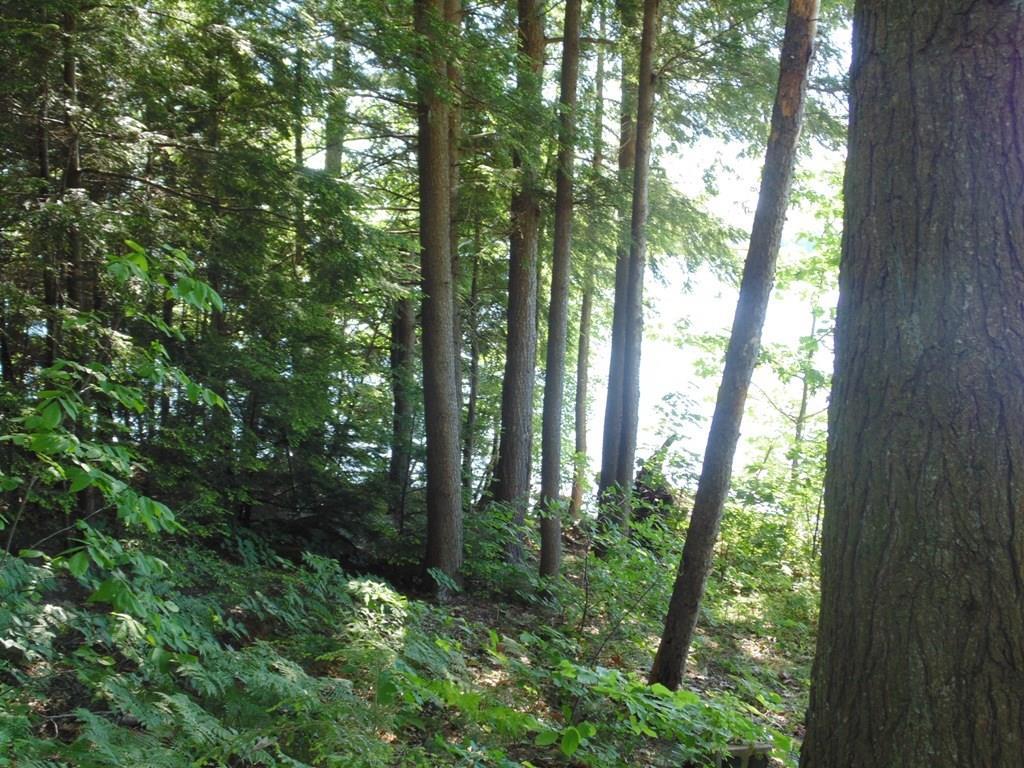 0 Sherman Road Liberty, ME 04949 - Photo 2 of 4 Approaching shorefront