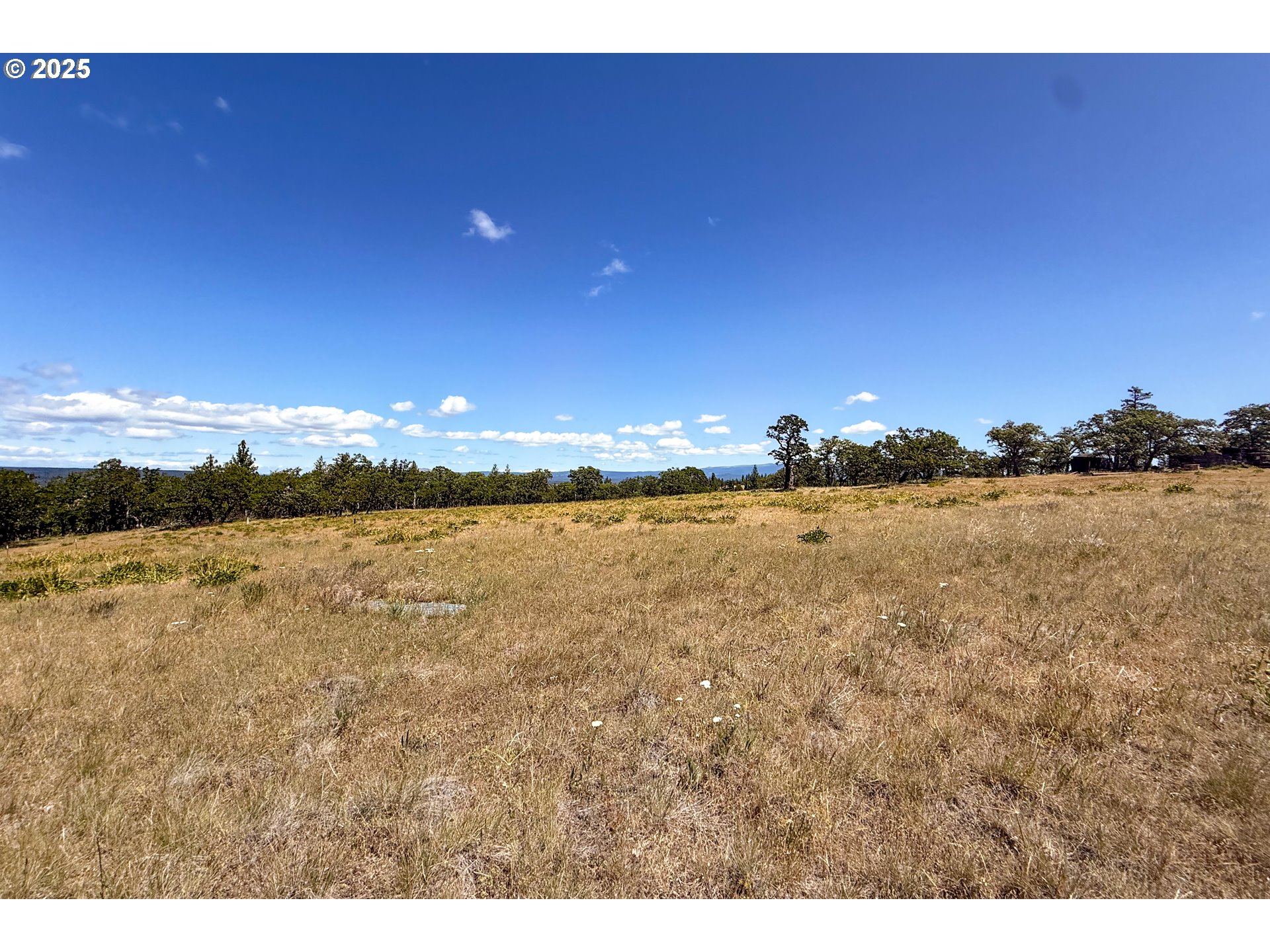4143200000600 4143200000600th Lyle, WA 98635 - Photo 11 of 27 a view of lake and mountain