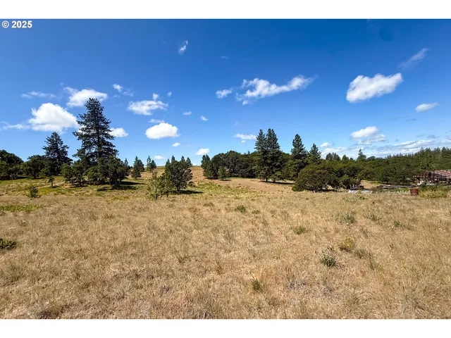 a view of a yard covered with snow in outdoor space