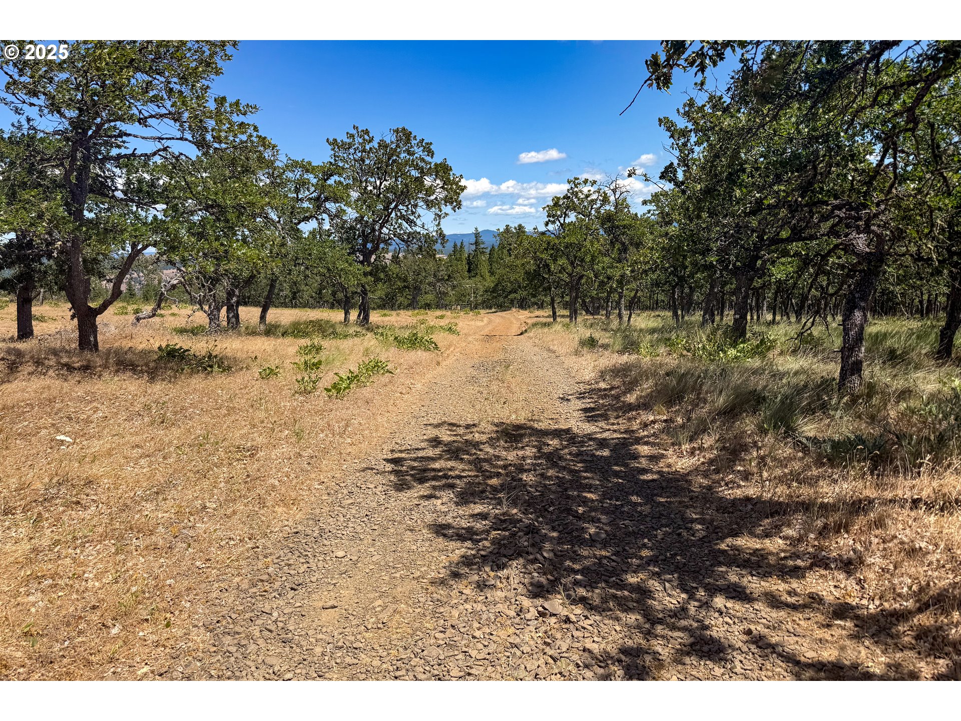 4143200000600 4143200000600th Lyle, WA 98635 - Photo 13 of 27 a view of a yard covered with snow in outdoor space