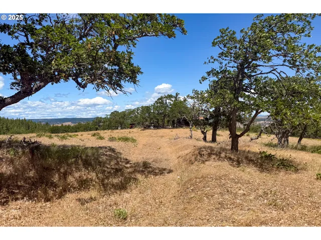 a view of outdoor space with deck and yard