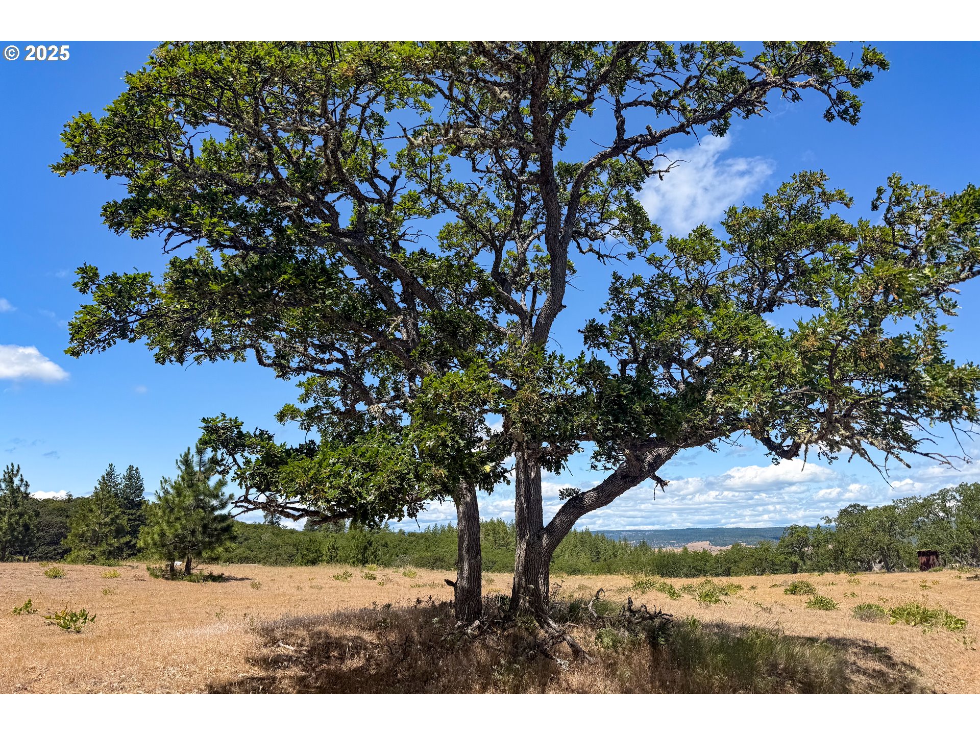 4143200000600 4143200000600th Lyle, WA 98635 - Photo 16 of 27 a view of outdoor space with deck and yard