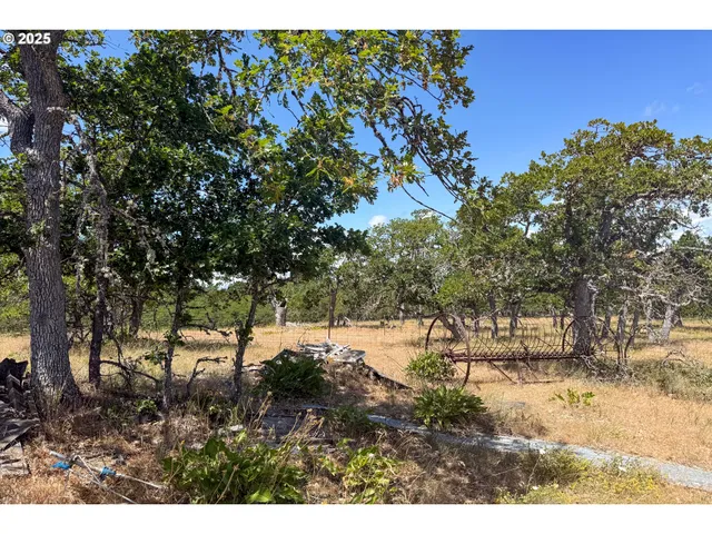 a view of a backyard of the house
