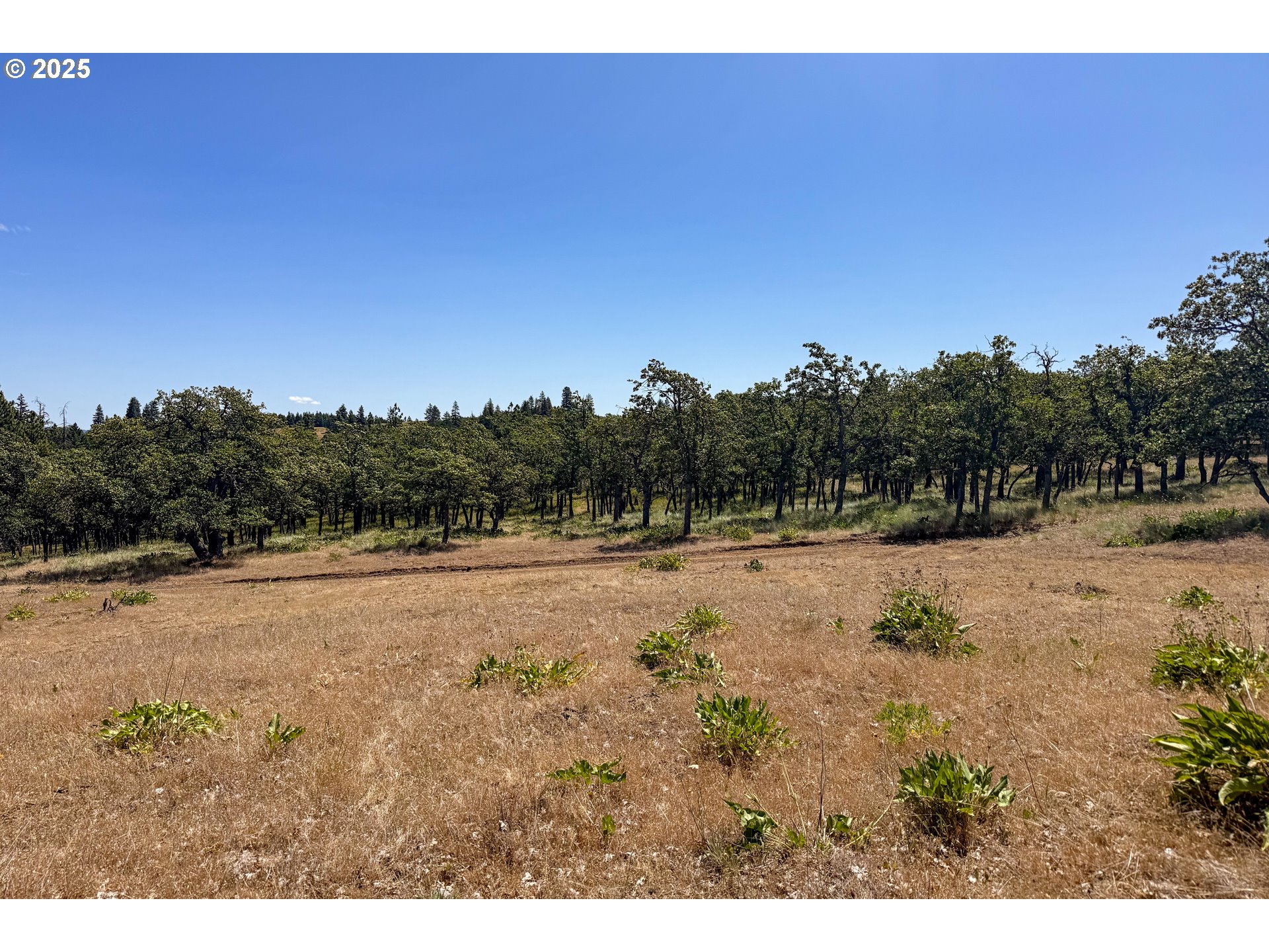 4143200000600 4143200000600th Lyle, WA 98635 - Photo 22 of 27 a view of outdoor space and yard