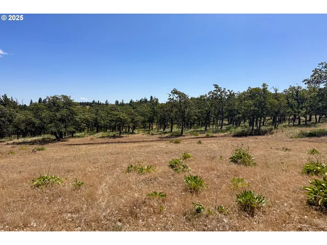 a view of a yard covered in snow
