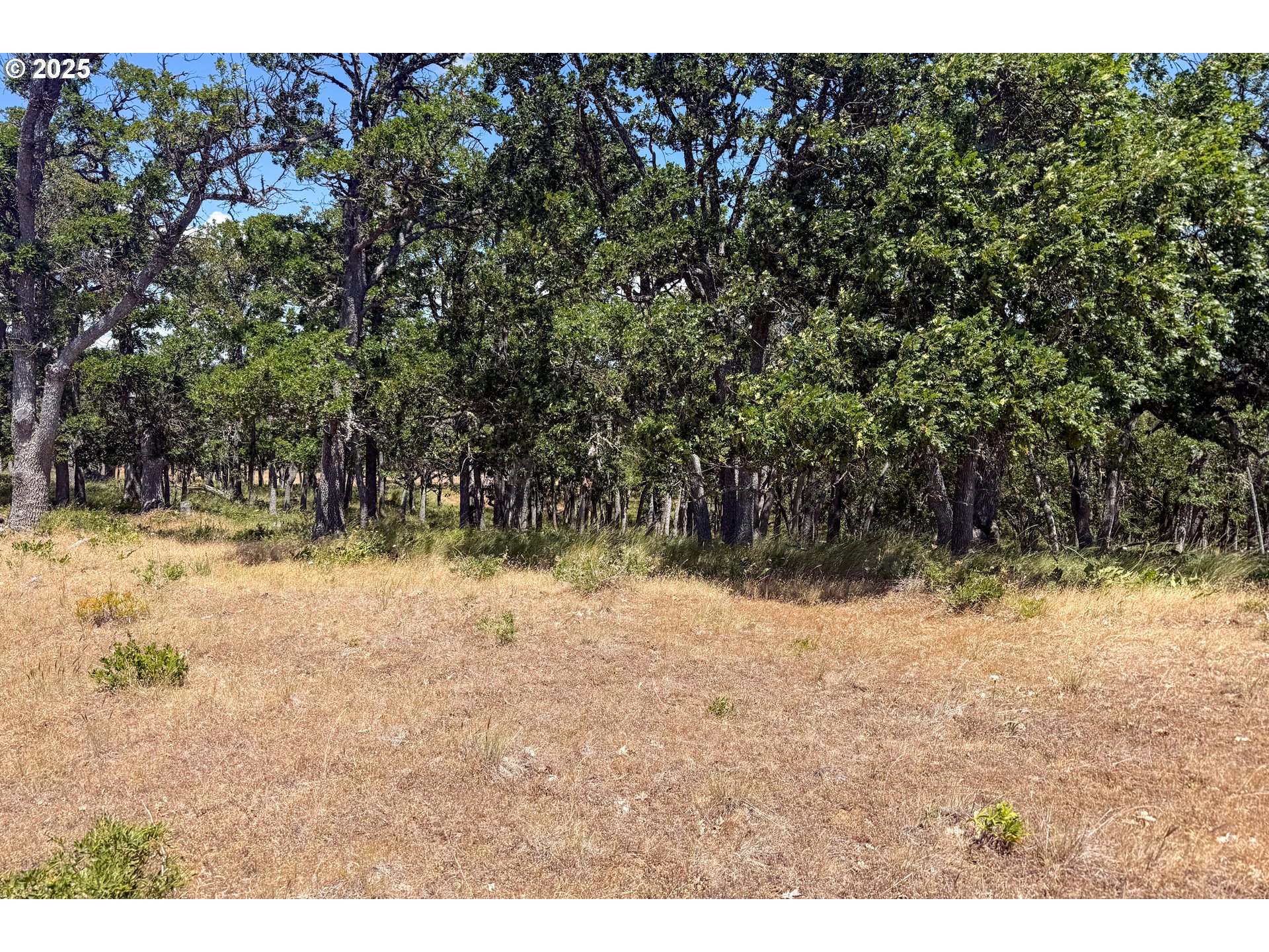 4143200000600 4143200000600th Lyle, WA 98635 - Photo 24 of 27 a view of a yard covered in snow