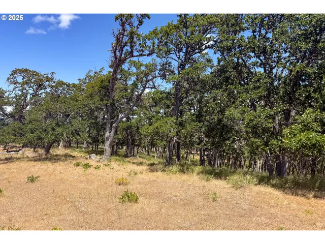 a view of a yard covered in snow