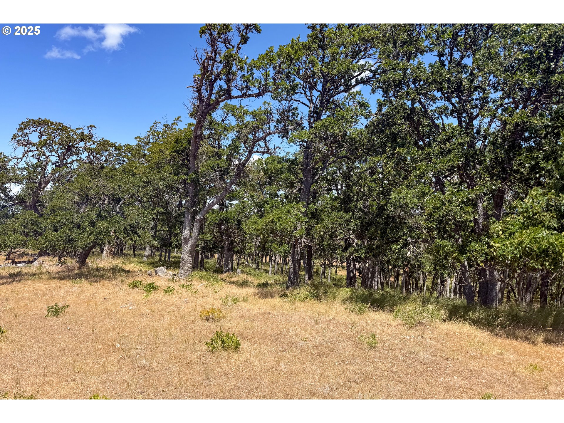 4143200000600 4143200000600th Lyle, WA 98635 - Photo 25 of 27 a view of a yard covered in snow