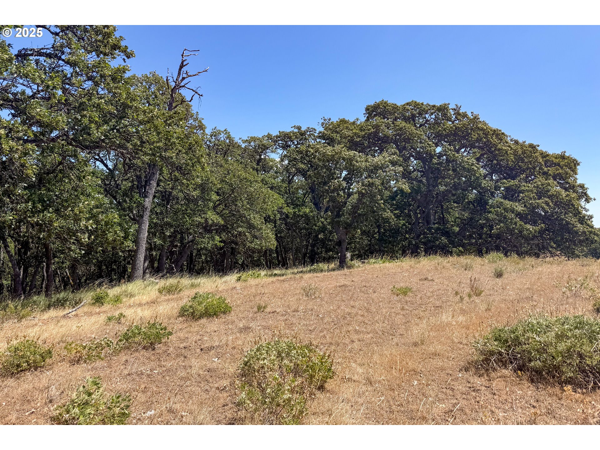 4143200000600 4143200000600th Lyle, WA 98635 - Photo 26 of 27 a view of a yard covered in snow