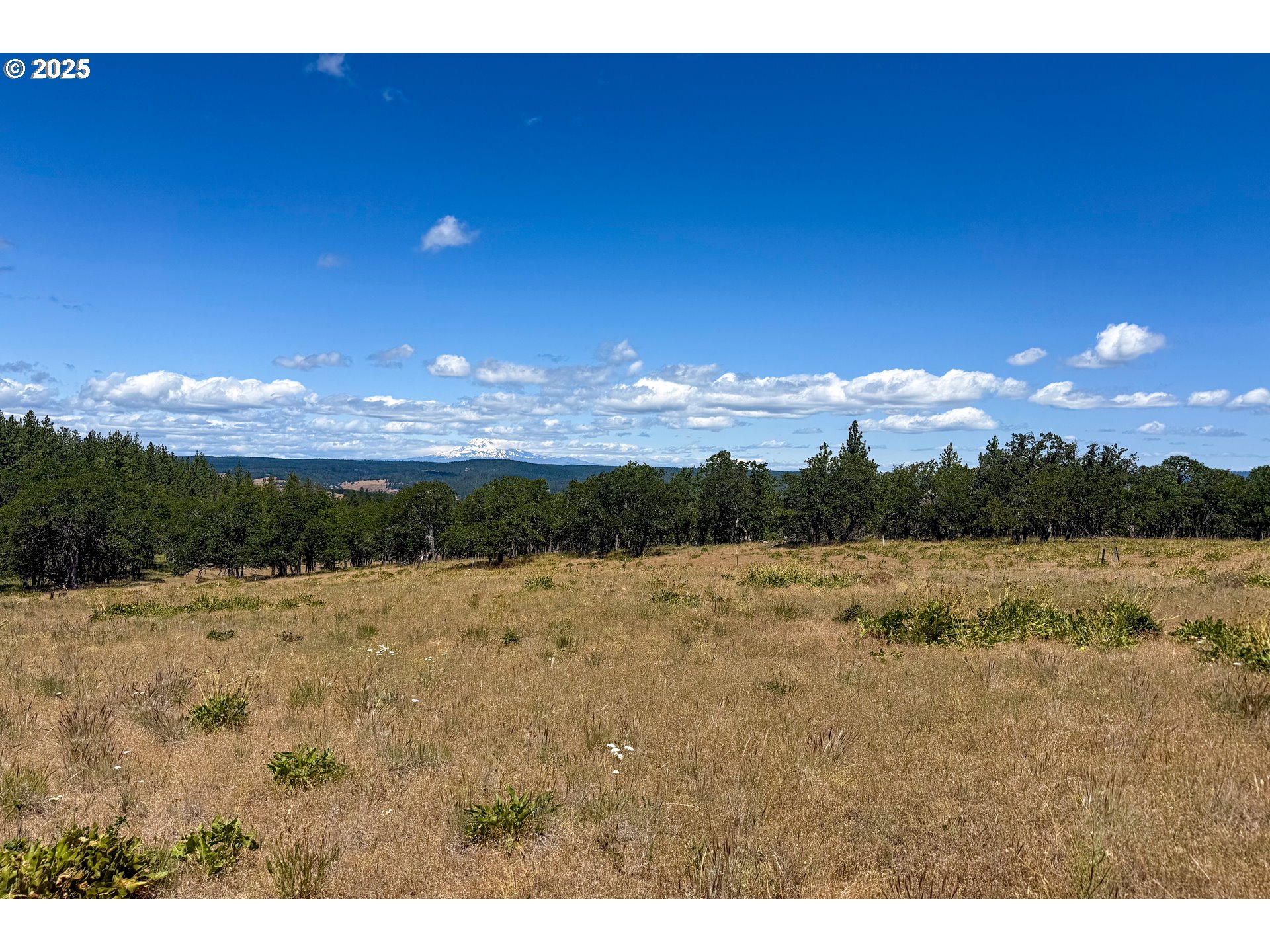 4143200000600 4143200000600th Lyle, WA 98635 - Photo 5 of 27 a view of lake and mountain view