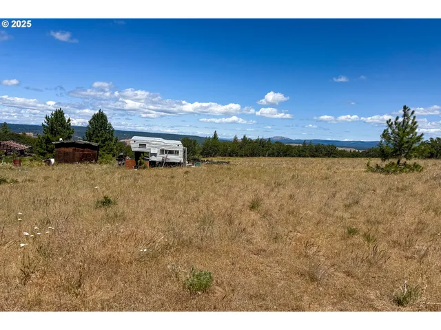 a view of a yard with a tree