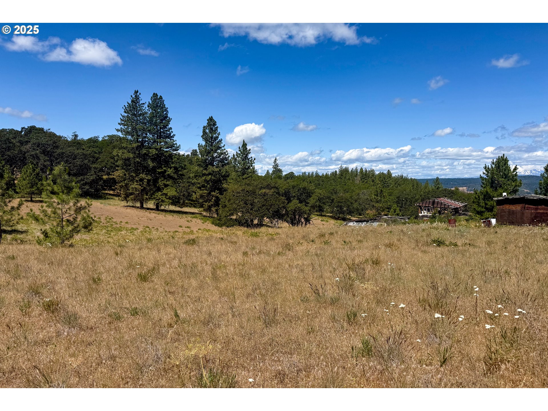 4143200000600 4143200000600th Lyle, WA 98635 - Photo 7 of 27 a view of a yard with a tree