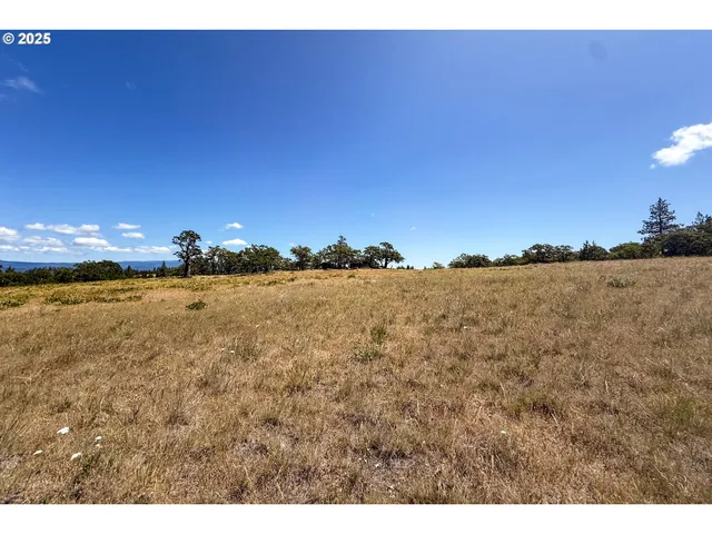 a view of lake and mountain