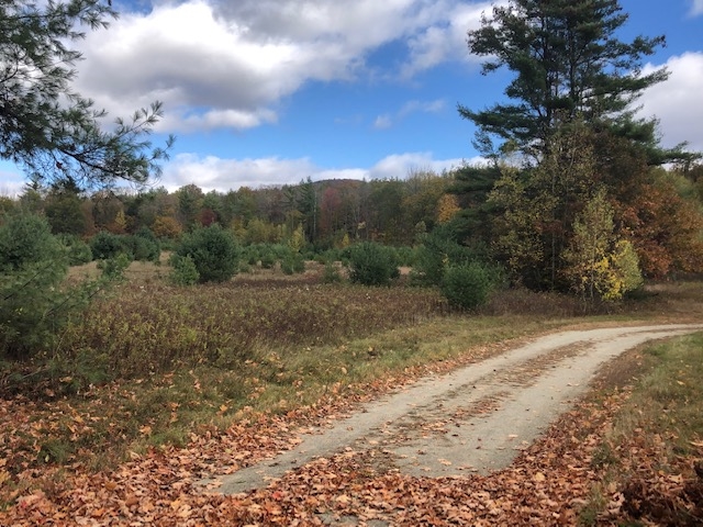 56 Creamery Road Orford, NH 03777 - Photo 5 of 7 Gallery Image 5