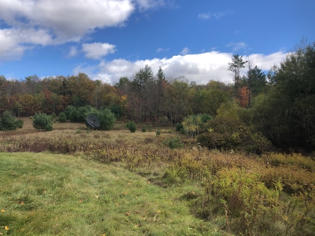 56 Creamery Road Orford, NH 03777 - Photo 6 of 7 Gallery Image 6