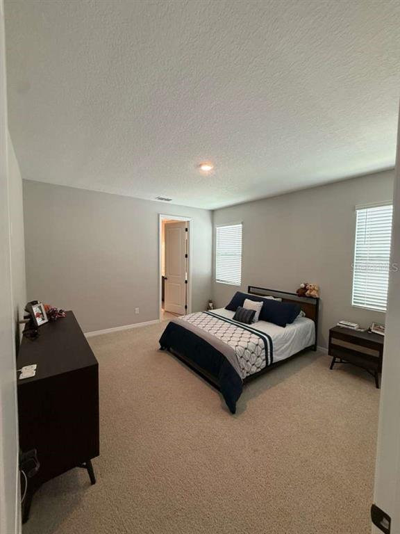 17007 Seville Orange Road Winter Garden, FL 34787 - Photo 15 of 35