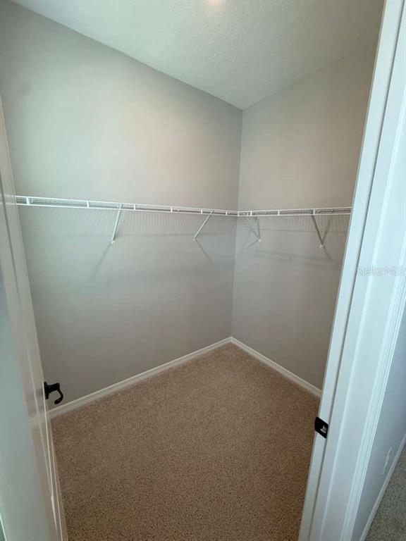 17007 Seville Orange Road Winter Garden, FL 34787 - Photo 24 of 35