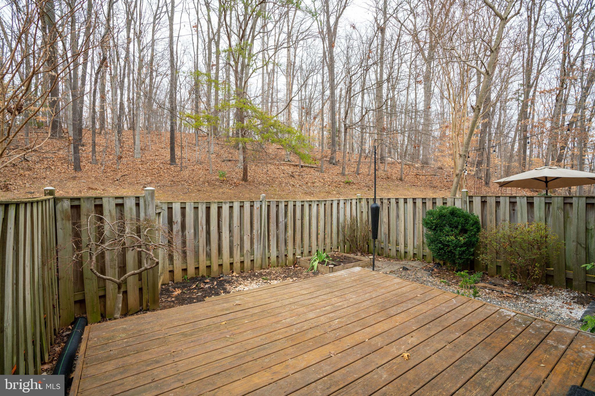 7902 Birchtree Court Springfield, VA 22152 - Photo 33 of 37 Backs to Trees