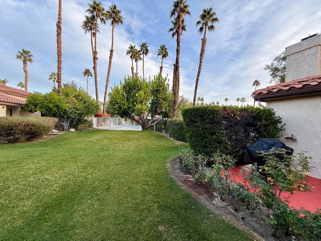 a view of a garden with a tree
