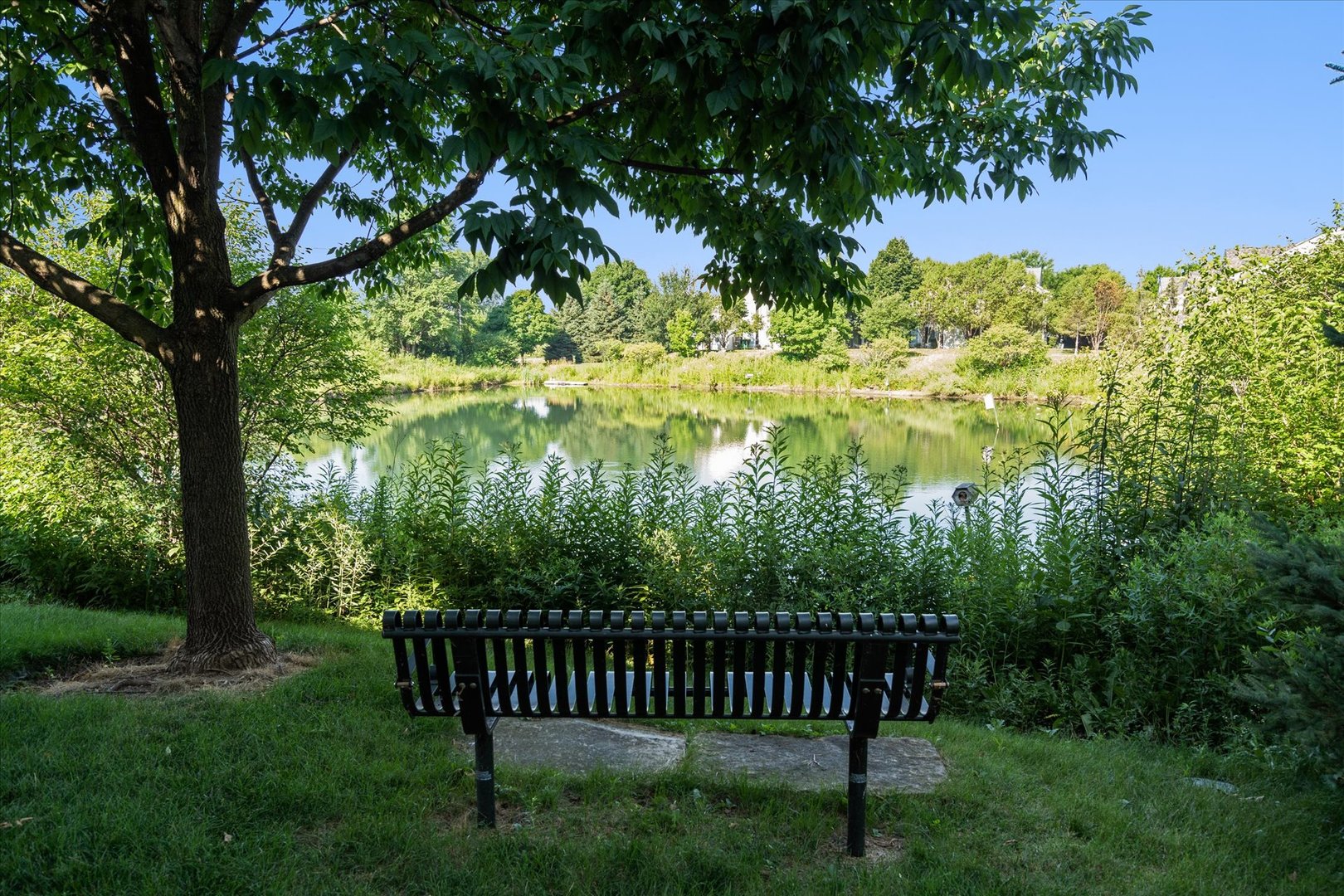 203 Springbrook Trail South Oswego, IL 60543 - Photo 4 of 23