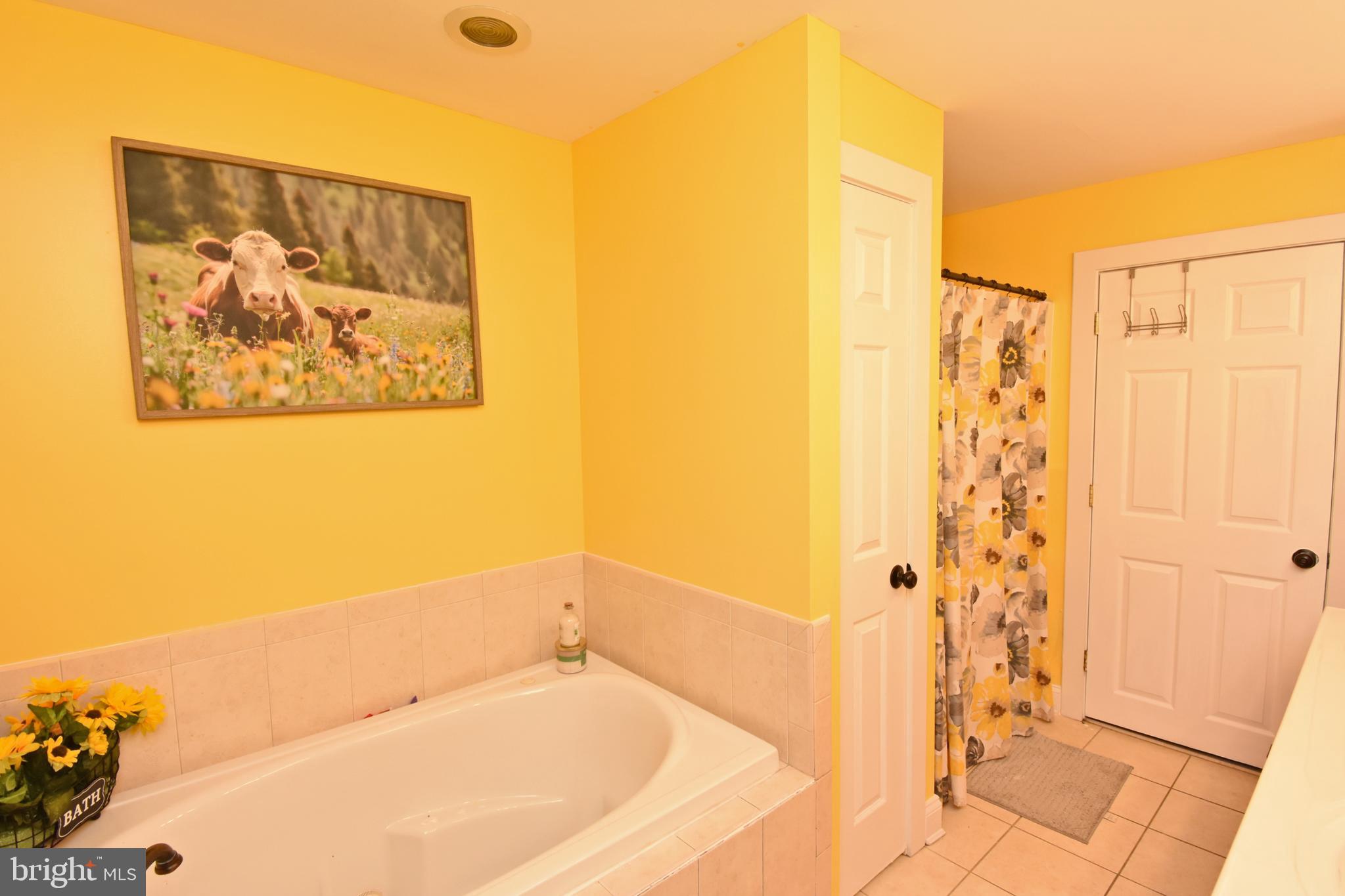 903 Johnson Road Salisbury, MD 21804 - Photo 25 of 47 Gallery Image 25