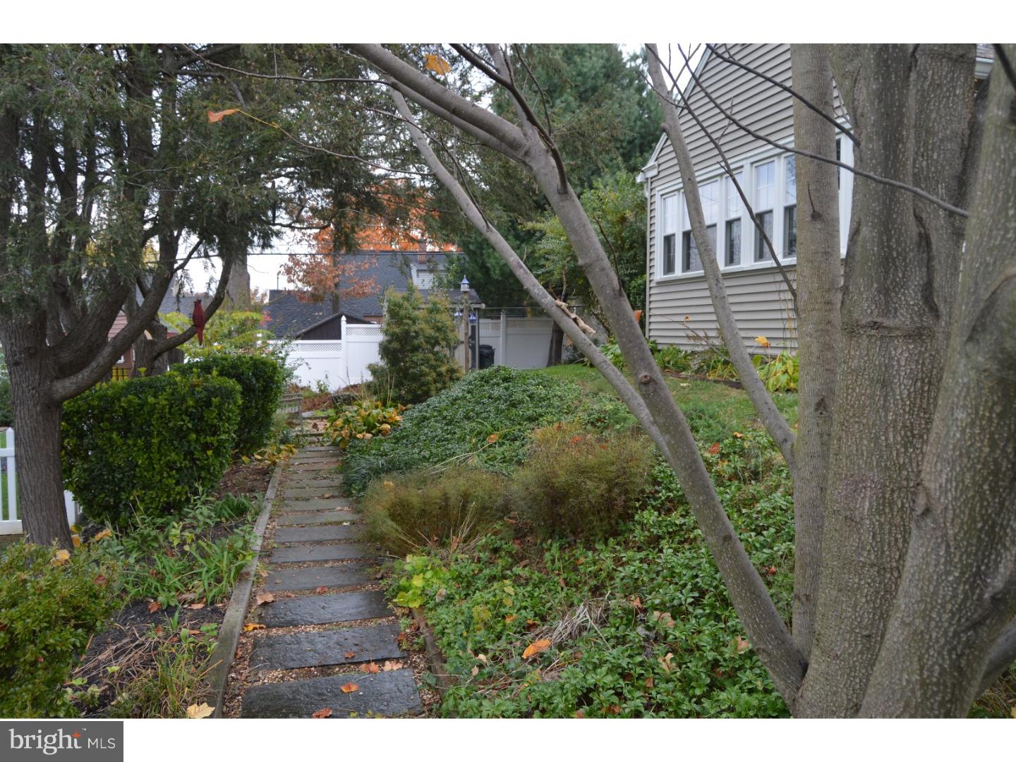 151 Scenic Road Springfield, PA 19064 - Photo 24 of 24 Side Yard