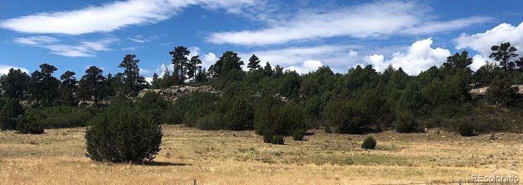 Waterbarrel Beulah, CO 81023 - Photo 2 of 14 a view of a yard