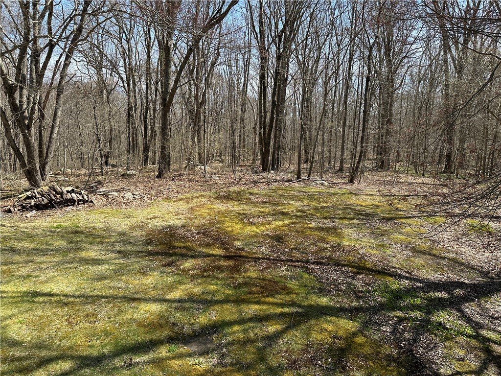 1695 Harkney Hill Road Coventry, RI 02816 - Photo 28 of 31 Backyard Photo 1