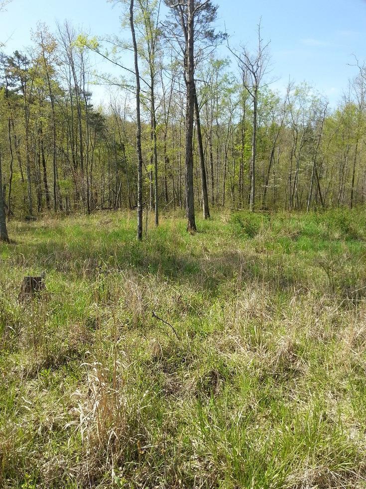 6 Matthew Meece Road Somerset, KY 42501 - Photo 1 of 3 Primary Photo