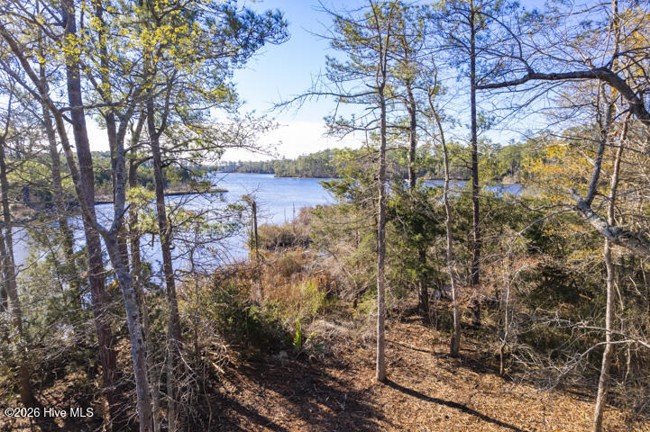 0 Smith Creek Road Vandemere, NC 28587 - Photo 11 of 30 View of Smith Creek