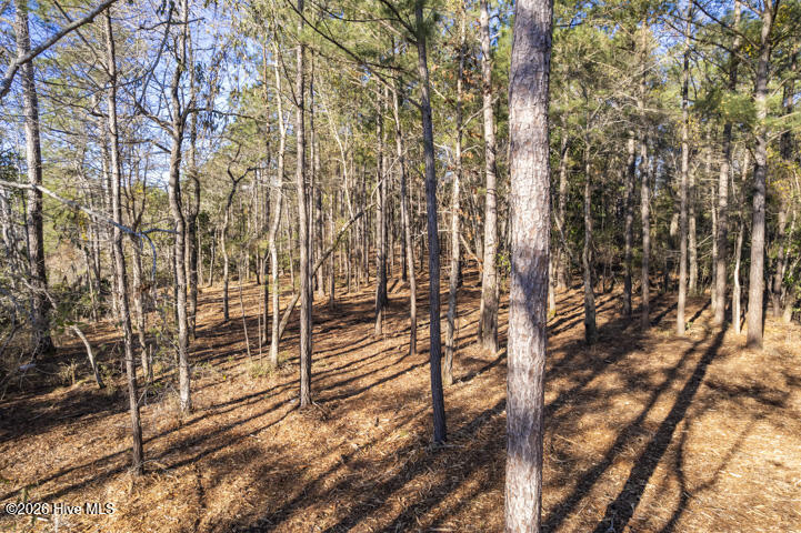 0 Smith Creek Road Vandemere, NC 28587 - Photo 15 of 30 Freshly Forestry Mulched