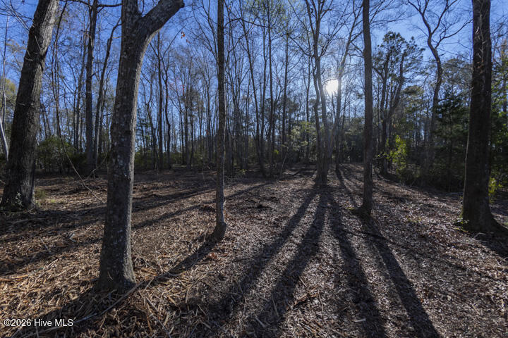0 Smith Creek Road Vandemere, NC 28587 - Photo 19 of 30 Ready to Build