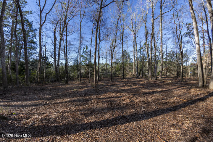 0 Smith Creek Road Vandemere, NC 28587 - Photo 20 of 30 Supreme Privacy