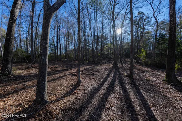 $375,000 | 0 Smith Creek Road, Vandemere, NC 28587