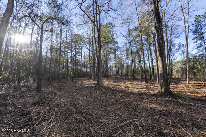 0 Smith Creek Road Vandemere, NC 28587 - Photo 21 of 30 Over 11 Acres