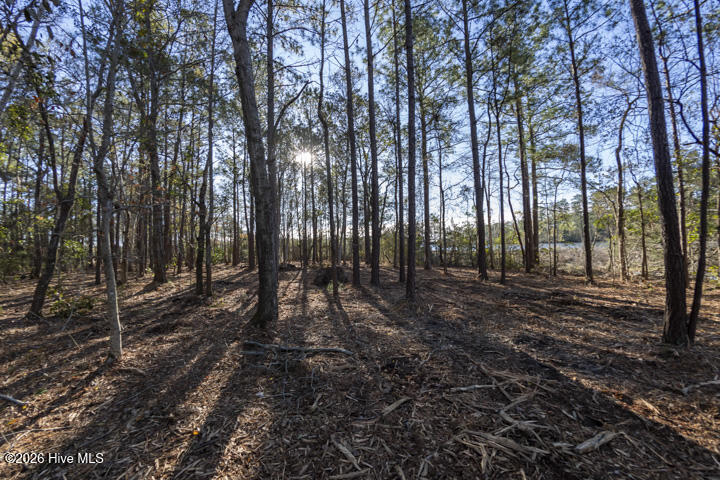 0 Smith Creek Road Vandemere, NC 28587 - Photo 22 of 30 Well Drained