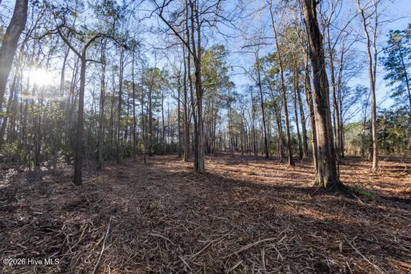 $375,000 | 0 Smith Creek Road, Vandemere, NC 28587