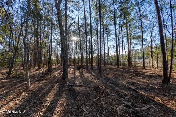 $375,000 | 0 Smith Creek Road, Vandemere, NC 28587