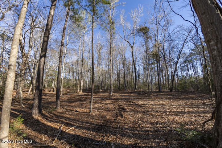 0 Smith Creek Road Vandemere, NC 28587 - Photo 24 of 30 No HOA