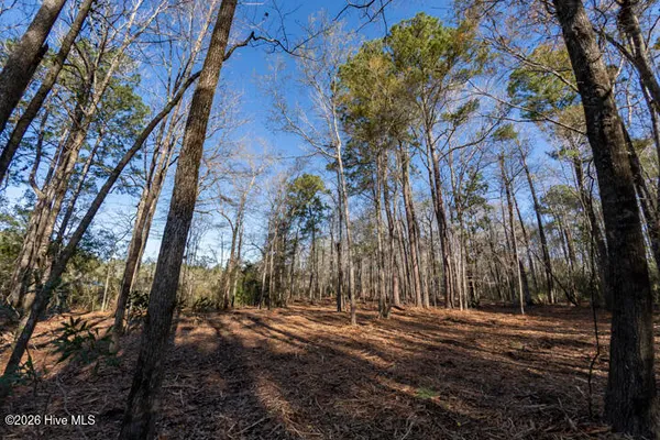 $375,000 | 0 Smith Creek Road, Vandemere, NC 28587