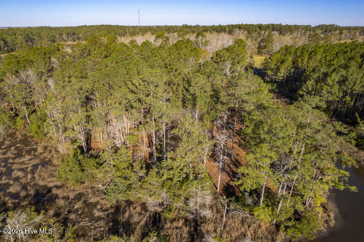 0 Smith Creek Road Vandemere, NC 28587 - Photo 25 of 30 No Neighbors In Sight