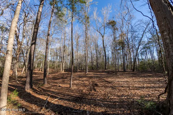 $375,000 | 0 Smith Creek Road, Vandemere, NC 28587