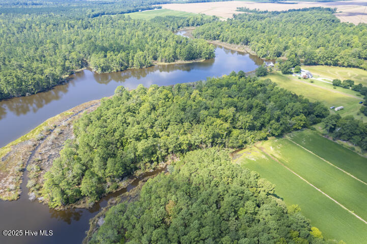 0 Smith Creek Road Vandemere, NC 28587 - Photo 10 of 30 11.4 Acres on Smith Creek, Vandemere