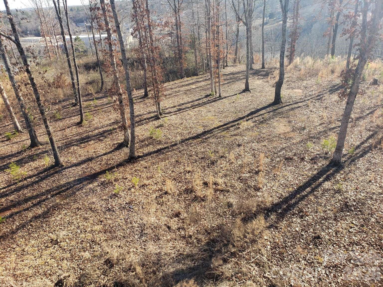 0 Powerhouse Road Granite Falls, NC 28630 - Photo 4 of 5